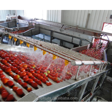 Jentera pemprosesan sayur -sayuran makanan dalam tin yang berkualiti